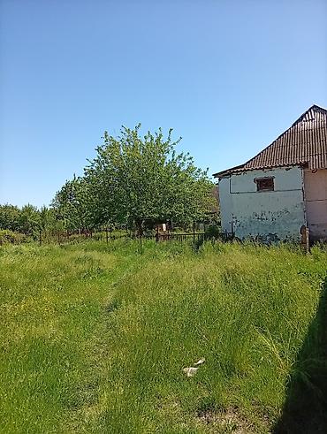 Torpaq sahələrinin satışı: 38 sot, Mülkiyyətçi, Kupça (Çıxarış) — 26