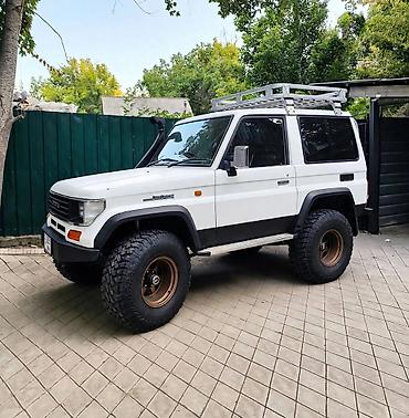 Toyota Land Cruiser: 1994 г., 4.3 л, Автомат, Бензин, Внедорожник