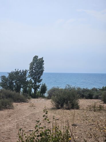 отдых на горах: Для сельского хозяйства