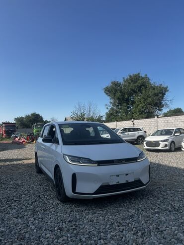 BYD: Новый электромобиль BYD. Компактный хэтчбек с современным дизайном