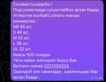 арзан батир: Студия, Менчик ээси