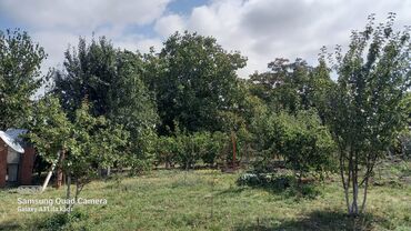 Həyət evləri və villaların satışı: 6 otaqlı, 150 kv. m, Orta təmir — 41