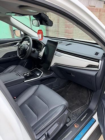 Weltmeister: Weltmeister EX5, 2021 г., 110000 км — 9