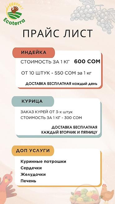 печень: Курица и индейка Ecoterra — тушка и субпродукты - Курица: тушки — 4
