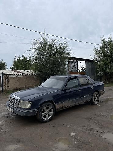 воск для авто: Mercedes-Benz W124: 1987 г., 2.3 л, Механика, Бензин, Седан — 4