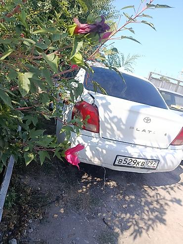 Транспорт: Toyota Platz: 2003 г., 1.3 л, Автомат, Седан — 3