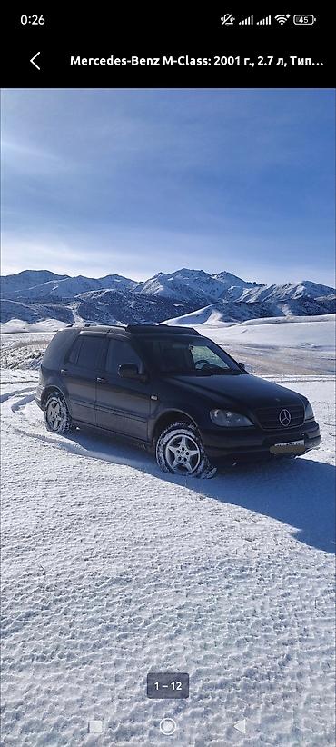 купить кун: Mercedes-Benz M-Class: 2001 г., 2.7 л, Автомат, Дизель, Кроссовер — 1