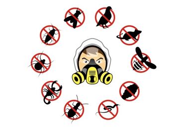 оборудование для шиномонтажа: Дезинфекциялоо, дезинсекциялоо, | Канталалар, Бүргөлөр, Таракандар, | Транспорт, Офистер, Батирлер