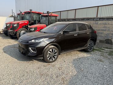 Weltmeister: Weltmeister EX5, 2022 г., 54721 км — 3