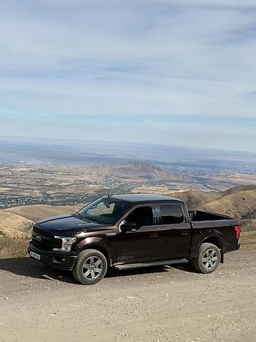 Ford F-150: 2019 г., 3.5 л, Автомат, Бензин, Пикап