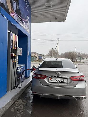 voxy noah: Toyota Camry: 2020 г., 2.5 л, Автомат, Бензин, Седан — 2