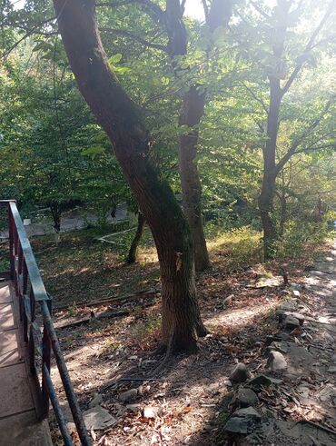 Uzunmüddətli kirayə evlər: 3000 kv. m, 3 otaqlı -da lalafo.az — 7 Uzunmüddətli kirayə evlər: 3000 kv. m, 3 otaqlı — 7