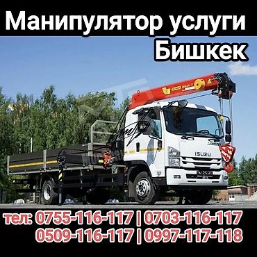 бортовой 2008: Манипулятор, Mitsubishi — 1