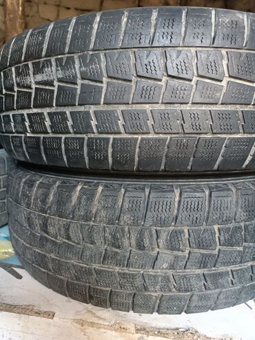 сколько стоит установка газа на авто: Шиналар 195 / R 15, Кыш, Колдонулган, Жуп, Жеңил унаалар, Жапония, Windforce