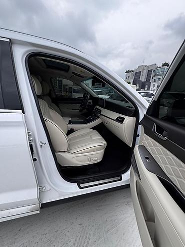 Hyundai: Hyundai Palisade: 2021 г., Кроссовер — 17