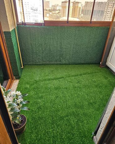 Toxumlar: 10 azn başlayan qiymətlər Suni qazon depodan bi̇r başa satişdir — 10