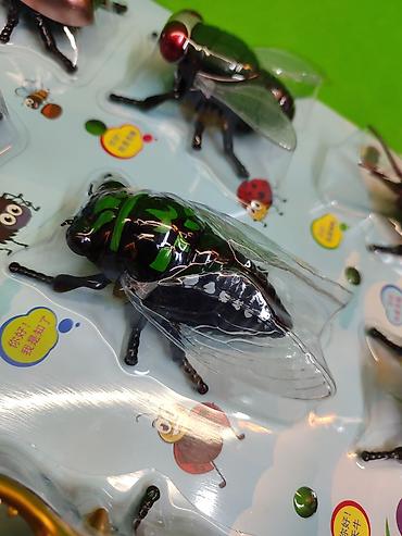 Игрушки: Насекомые игрушки заводные в комплекте для детей🐝 Комплектация — 10