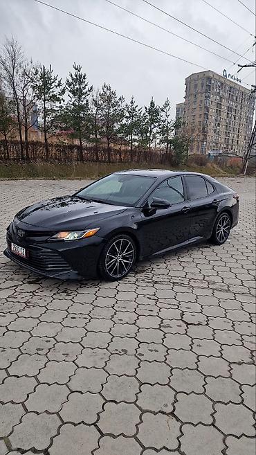 Toyota: Toyota Camry: 2019 г., Седан — 1