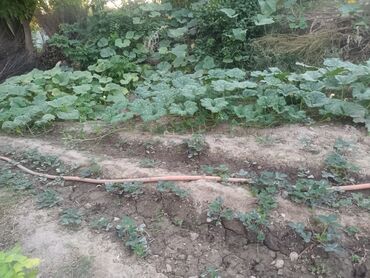 Продажа домов: Дом, 169 м², 6 комнат, Собственник, Старый ремонт — 12