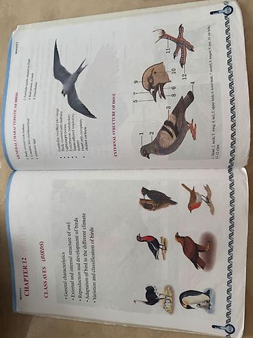 Книги и журналы: Məhsul: Biology II – 8 (Biology Series) dərsliyi Təsvir: - “İ” üçün — 2
