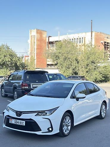 2023: Toyota Corolla: 2023 г., 1.2 л, Автомат, Бензин, Седан — 3