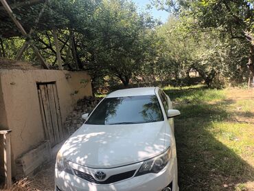диск на камри: Toyota Camry: 2013 г., 2.5 л, Автоматические, Бензин, Седан
