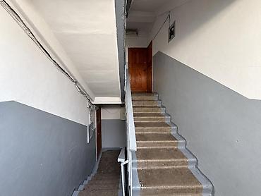 24: 2 комнаты, 46 м², Золотой квадрат Индивидуалка, 5 этаж, Косметический ремонт — 6