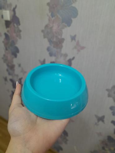 pişik su qabı: Pişik üçün 2 ci el tam aksesuar dəsti Dəst tərkibi: - Qum qabı (üst — 3