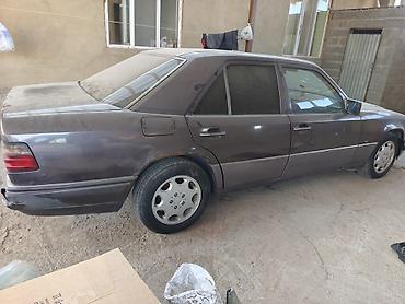 e5 olom: Mercedes-Benz E-Class: 1996 г., Механика, Седан — 1