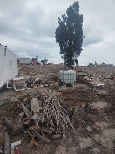 Konteynerlər: Konteyner ev/ofis – tam təchizatlı modul - Ölçü: dəniz konteyneri — 11