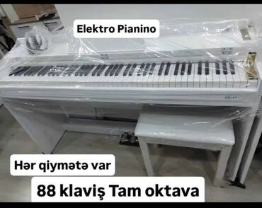 akustik gitara simi: Sintezator, Yeni, Pulsuz çatdırılma
