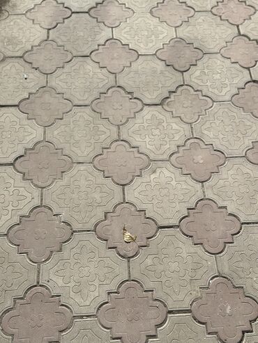 домашние яйца: Chamomile paving stones, түсү - Боз, Бетондон, For parking-paving stone, Басылган, Колдонулган