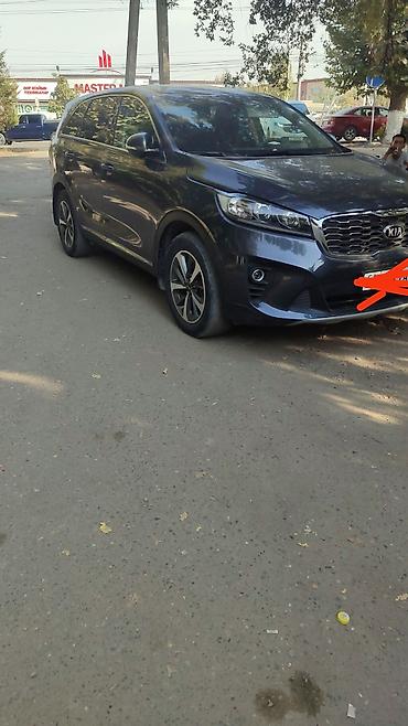жесткая тонировка: Kia Sorento: 2019 г., 2.2 л, Внедорожник — 2