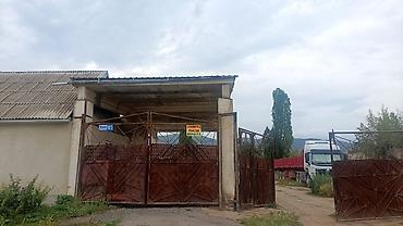 огуз: Продается в селе Кызыл суу, Джеты огузский район, Ыссыккульская — 1