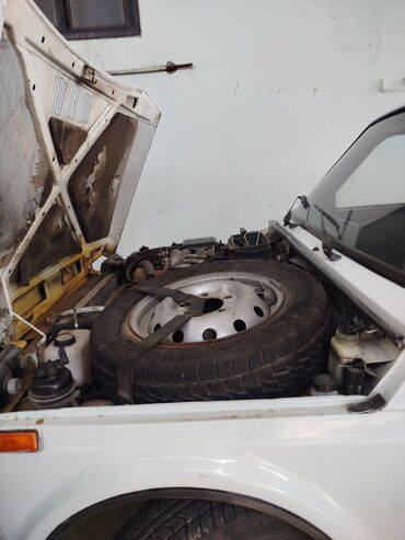 VAZ (LADA): VAZ (LADA) 4x4 Niva: 1.7 l | 2010 il 264316 km — 7