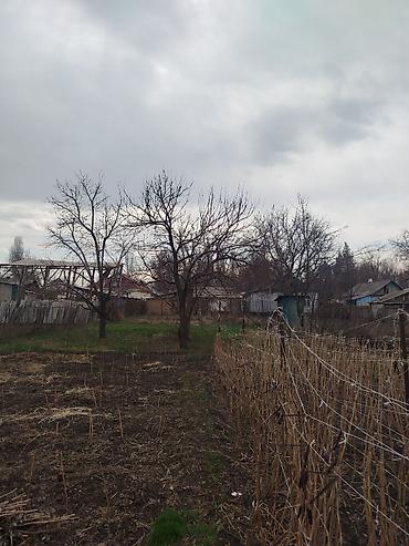 Продажа коттеджей и домов: Продается дом в г. Кара балта 17,5 соток. Мы посадили осенью новый — 25