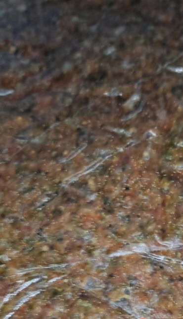 balaca halqa sirqalar v Azərbaycan | SIRĞALAR: 1kq-11azn Artemia çıxartmağa ehtiyac olmayacaq birbaşa yeni doğulmuş