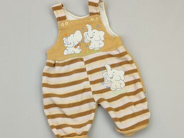 spodnie 2 w 1: Dungarees, 0-3 months, condition - Good