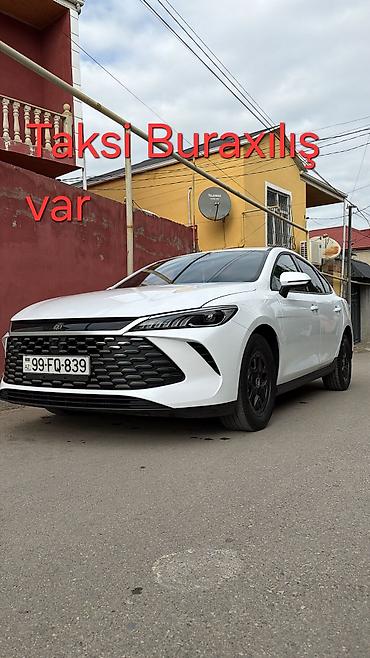 qin plus: BYD Qin Plus: 1.5 l | 2025 il 67400 km Sedan — 1