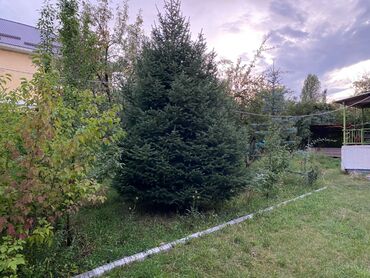 Продажа домов: Дача, 1 м², 1 комната, Собственник, Косметический ремонт — 10