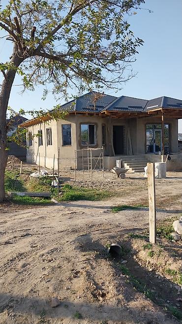 Штукатурка, шпаклевка: Штукатурка стен Больше 6 лет опыта — 3