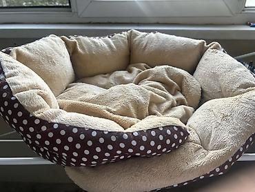 животные для дома: Мягкий лежак для домашних животных, б/у — 2