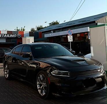 dodge challanger: Dodge Challenger: 2022 г., 3.6 л, Автомат, Бензин, Седан — 4