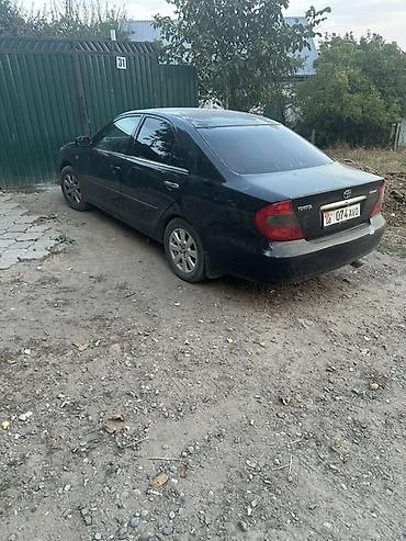 Toyota: Toyota Camry: 2004 г., Седан — 3