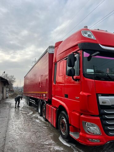 Тягачи: Тягач, DAF, 2018 г., Шторный — 3