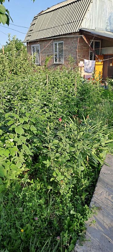 Продажа участков: 10 соток, Для сельского хозяйства, Красная книга — 14