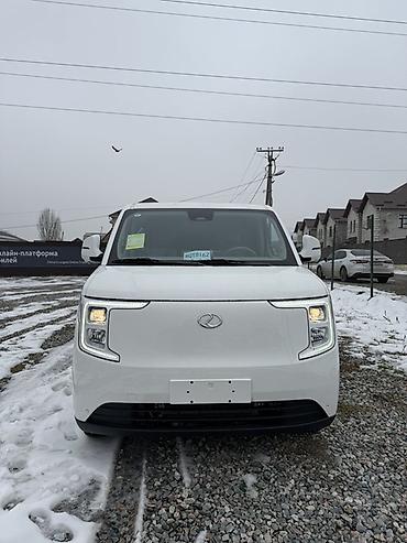 Легкий грузовой транспорт: Легкий грузовик, DAF, Стандарт, До 1 т, Новый — 1