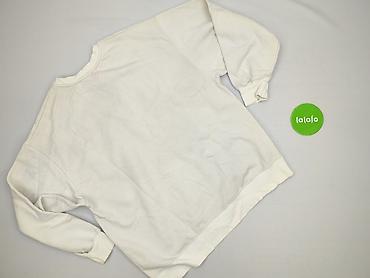 bluza moro cropp: Hollister, Bluza damska
, rozmiar L — 3