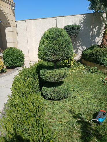 Landşaft işləri: Bağbanam kime bağban lazımdırsa buyura biler — 3