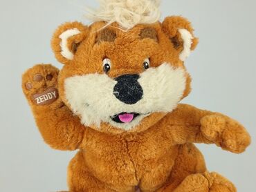 Mascot Teddy bear, condition - Very good